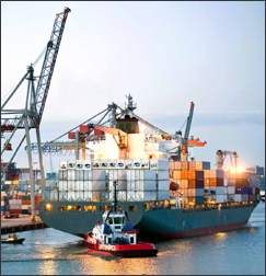 Ocean Freight Forwarder